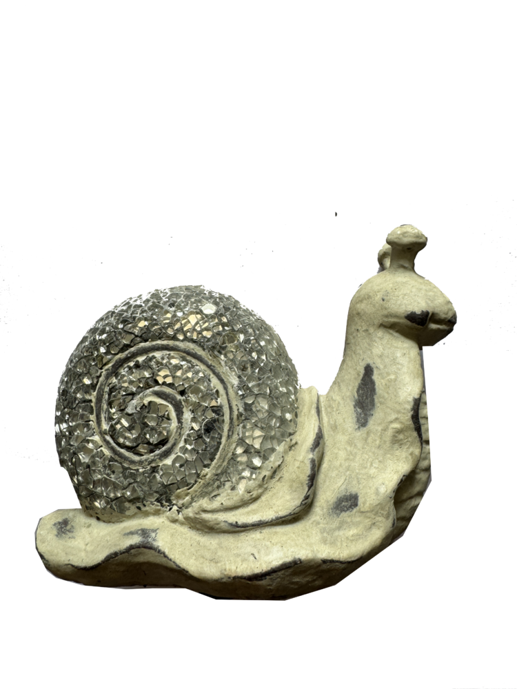 Caracol brillante decorativo