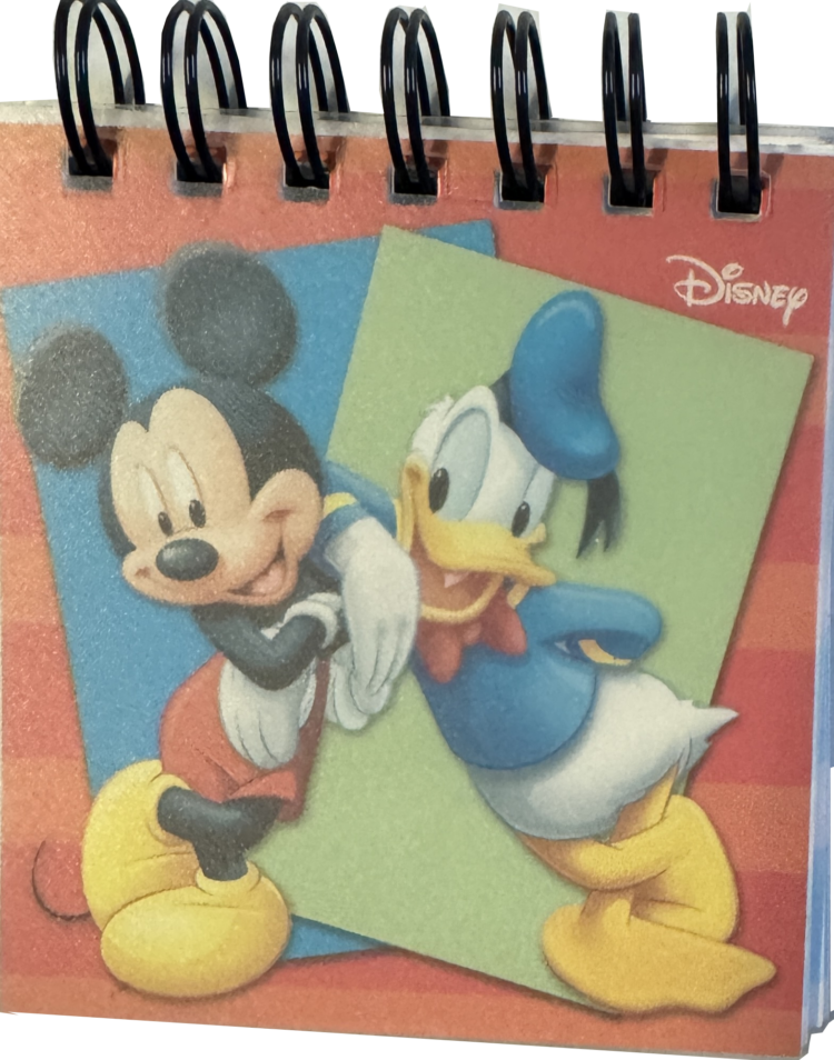 Mini libreta Disney