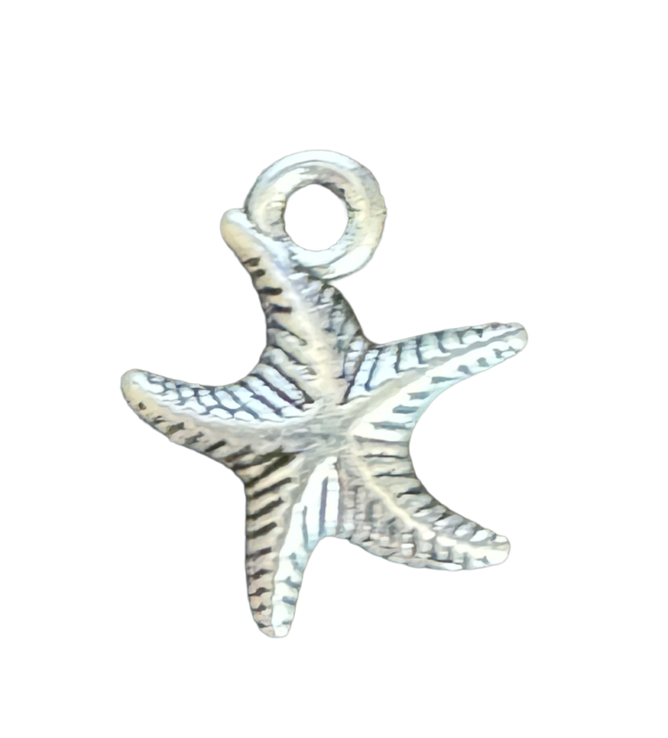 Abalorio estrella de mar
