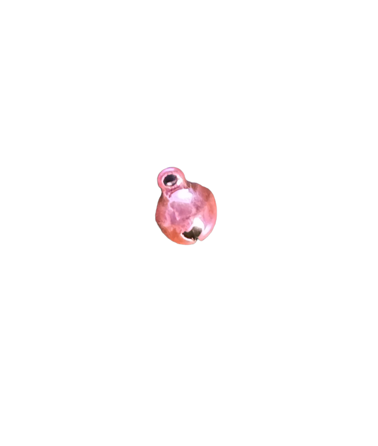 Mini cascabel rosa