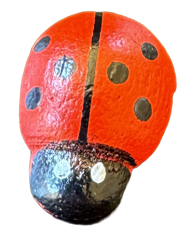 Mariquita de madera