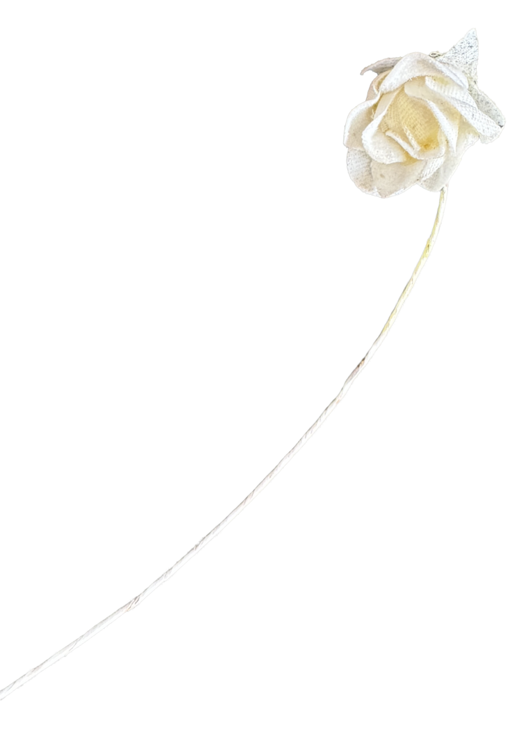 Flor de papel blanco