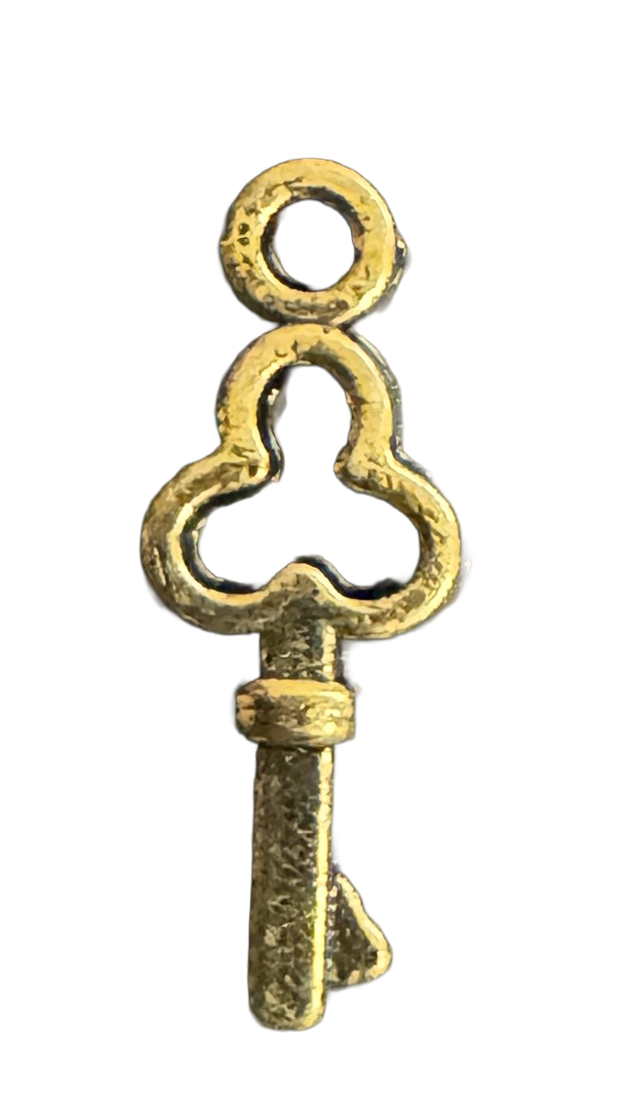 Llave de metal mini
