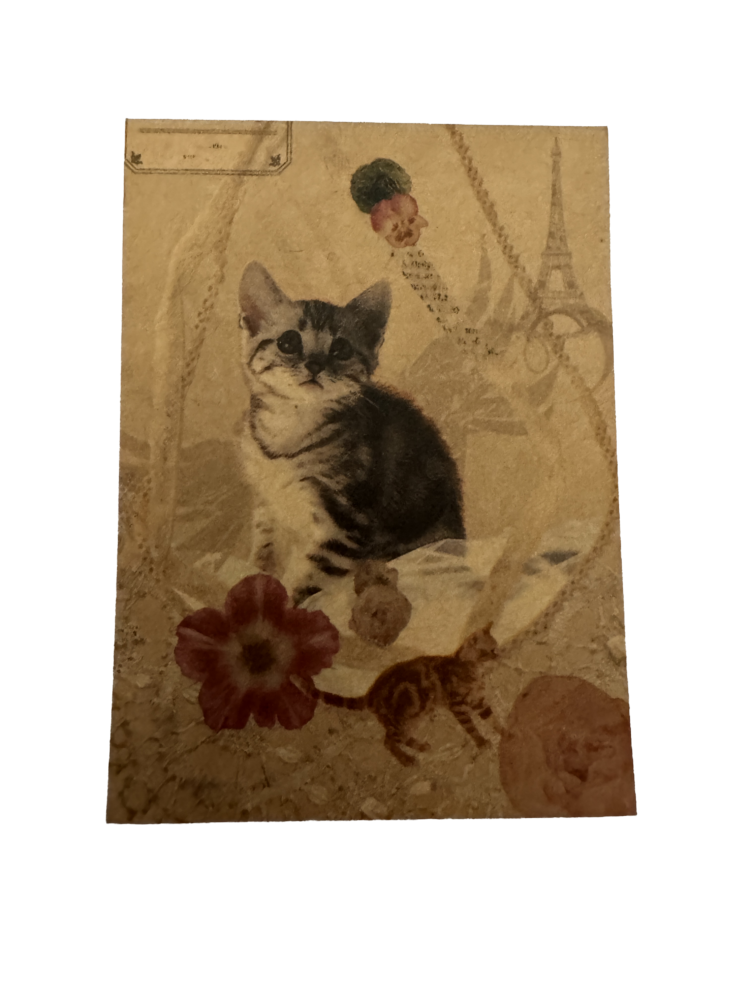 Libretita gatito