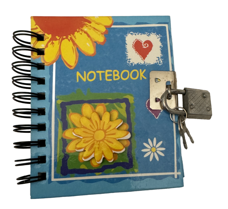 Diario mini con candado azul