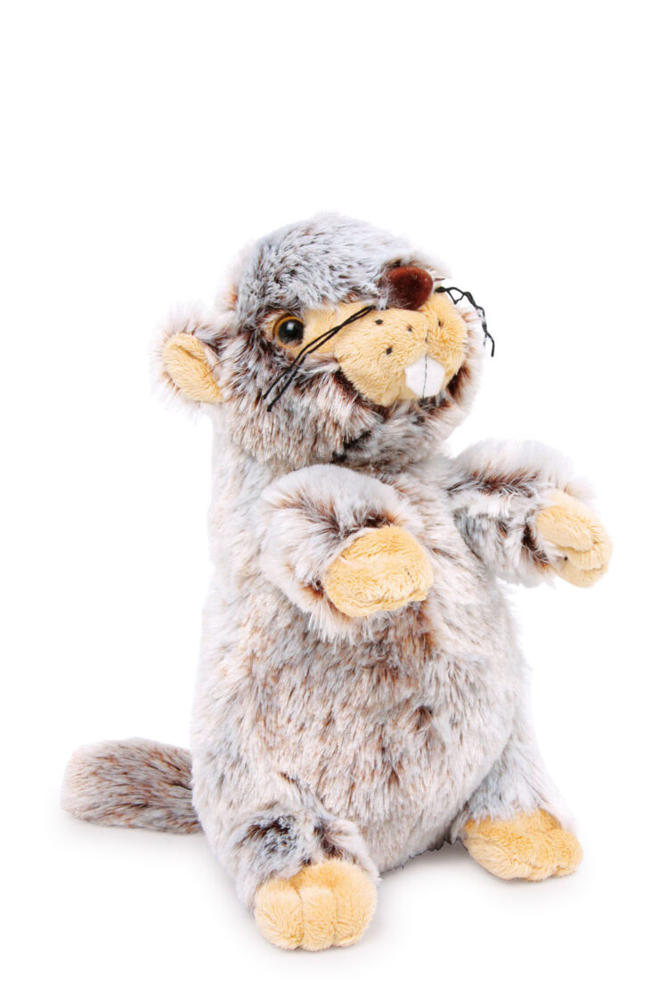 Peluche ardilla de tierra L