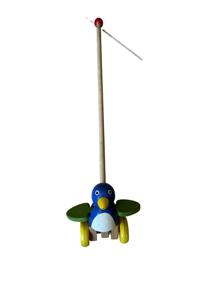 Pájaro para empujar
