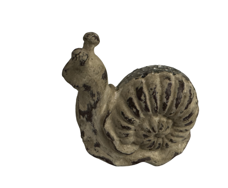 Caracol brillante decorativo