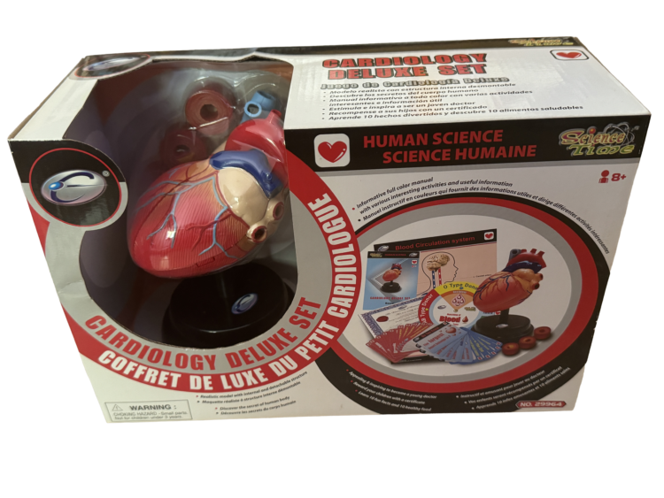 Juego de aprender ciencia corazón