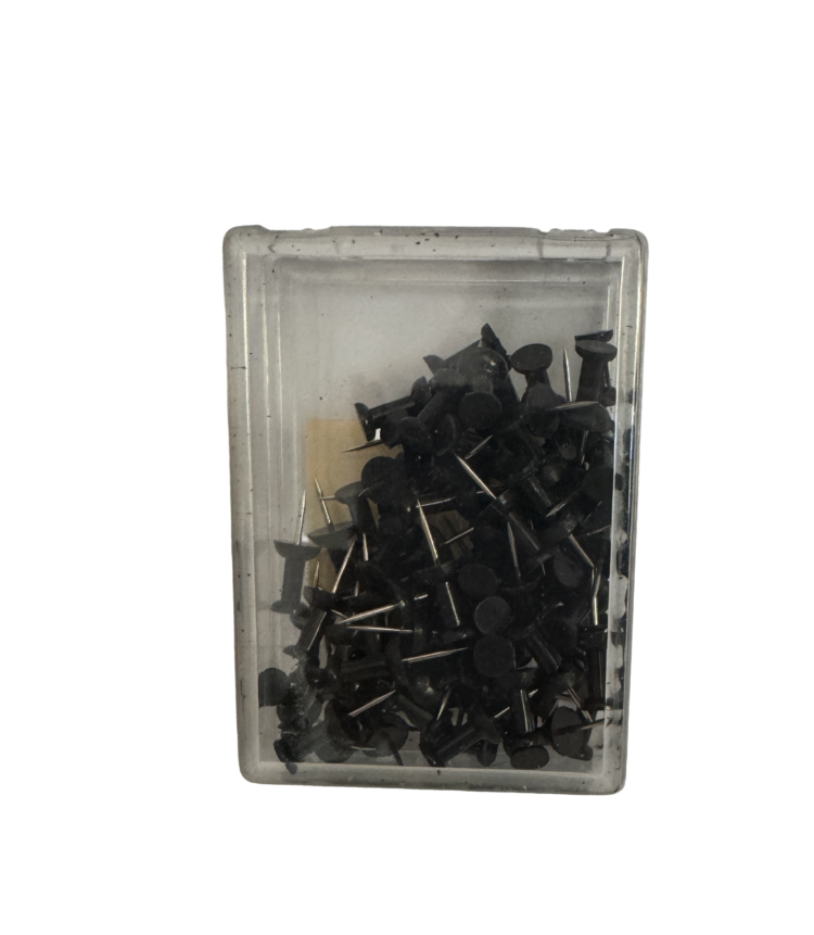Caja chinchetas cabeza negra